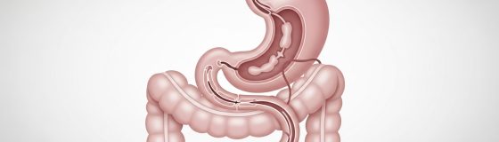 Whisk_506465591fd1917871e446613a3217bddr